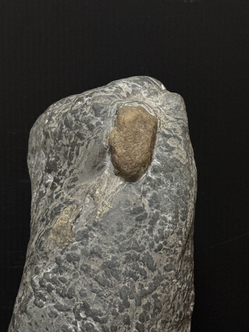 極上 瀬田石 水石 蟹肌 観音像型 瀬田川石 置物 唐木台付 盆景 盆栽