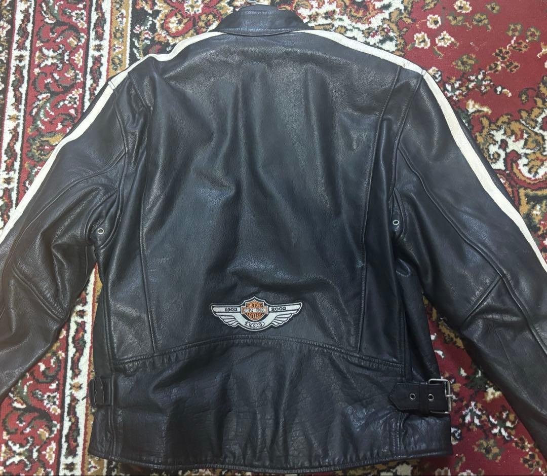 （送料込）ハーレーダヴィッドソン シングルライダース