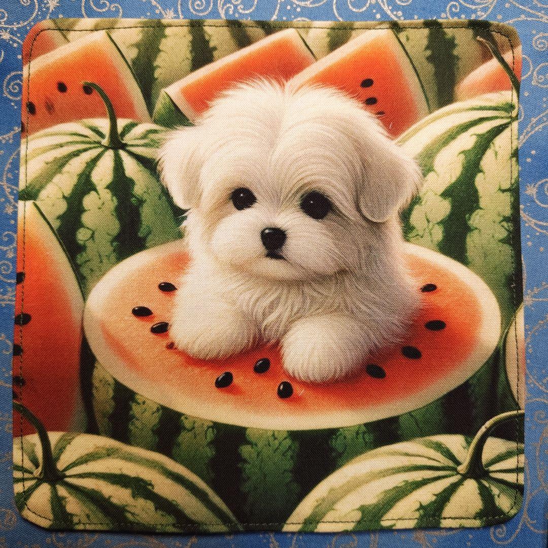 りあ　ハンカチ12枚 パネル22枚　マルチーズちゃん柄　34枚