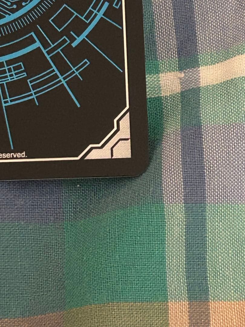 ヴァンガード 聖なる時の運命者 リィエル ゠ ドラコニス DSR