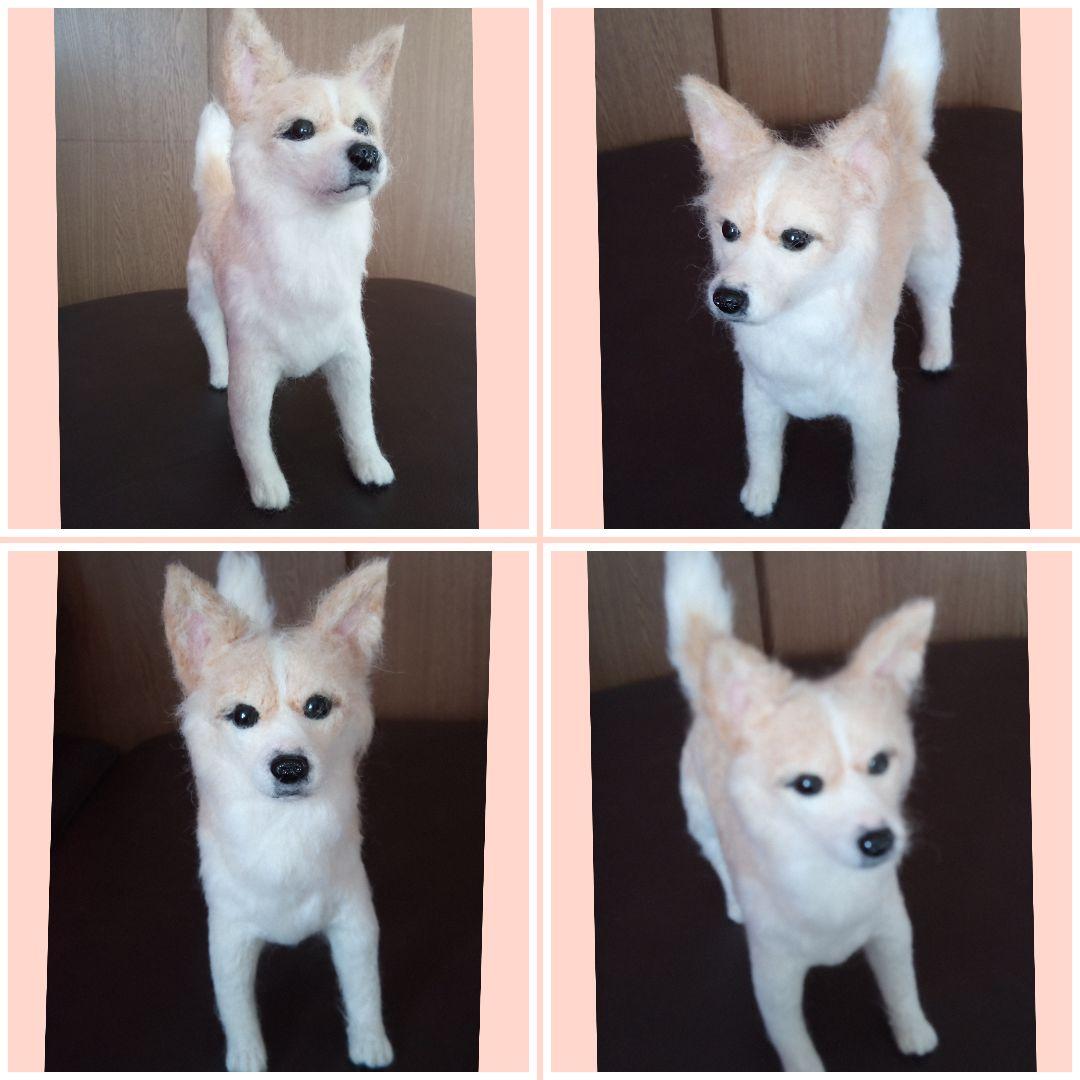 愛犬の羊毛フェルトオーダー・ym．様ご確認専用ページ