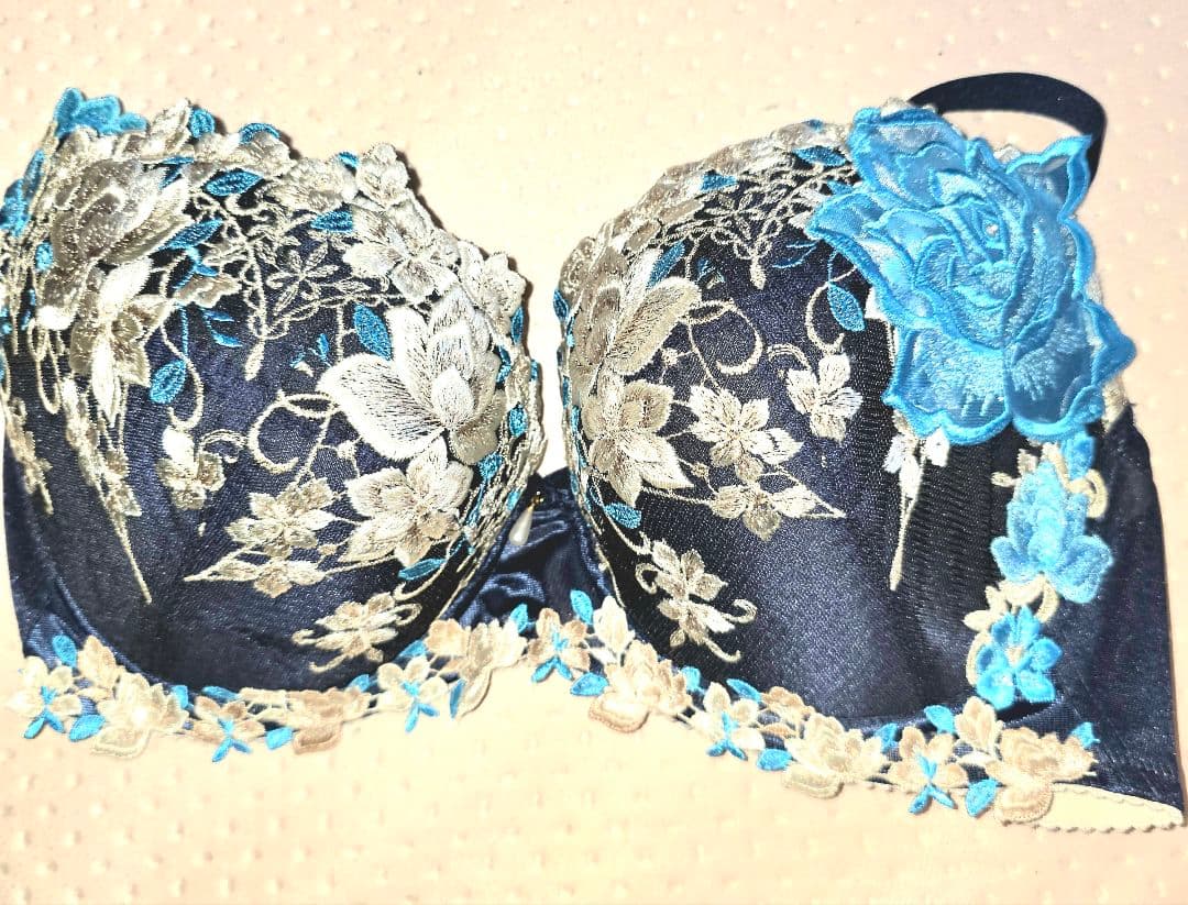 新品未使用 サルート ネイビー 刺繍 ブラジャーG85と花柄刺繍G85の2点