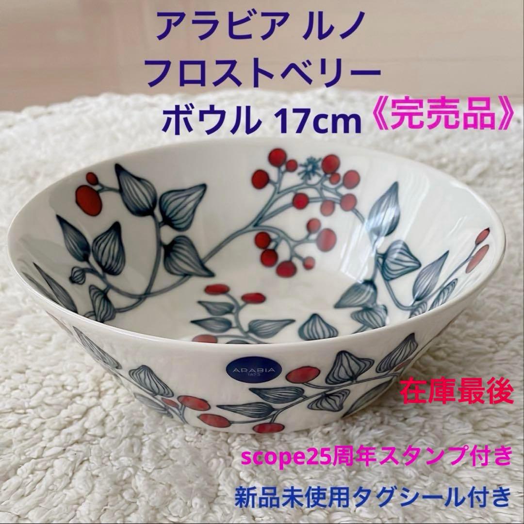 《完売品》アラビア ルノ フロストベリー17cmボウルscope25周年ロゴ付