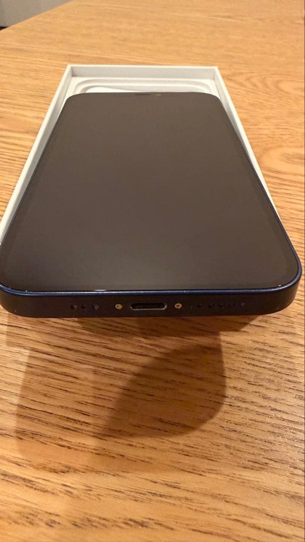 Apple iPhone 12 青 充電ケーブル付き