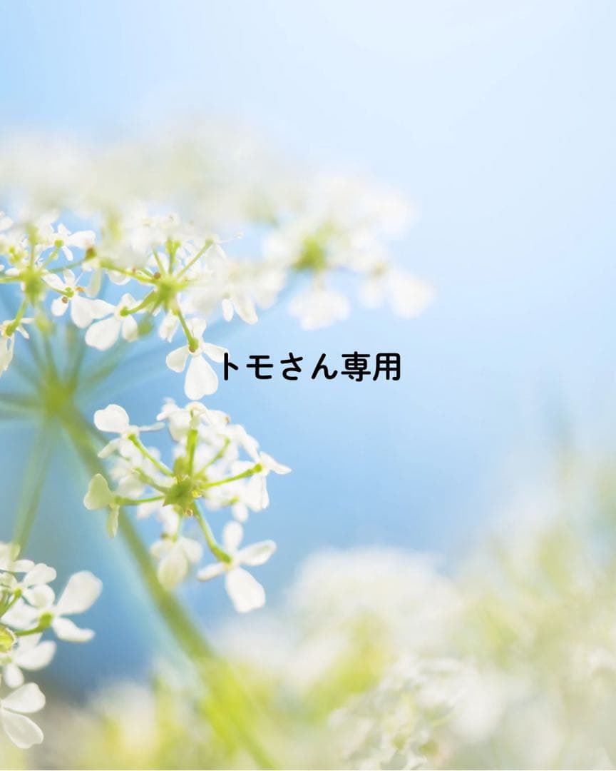 トモさん専用
