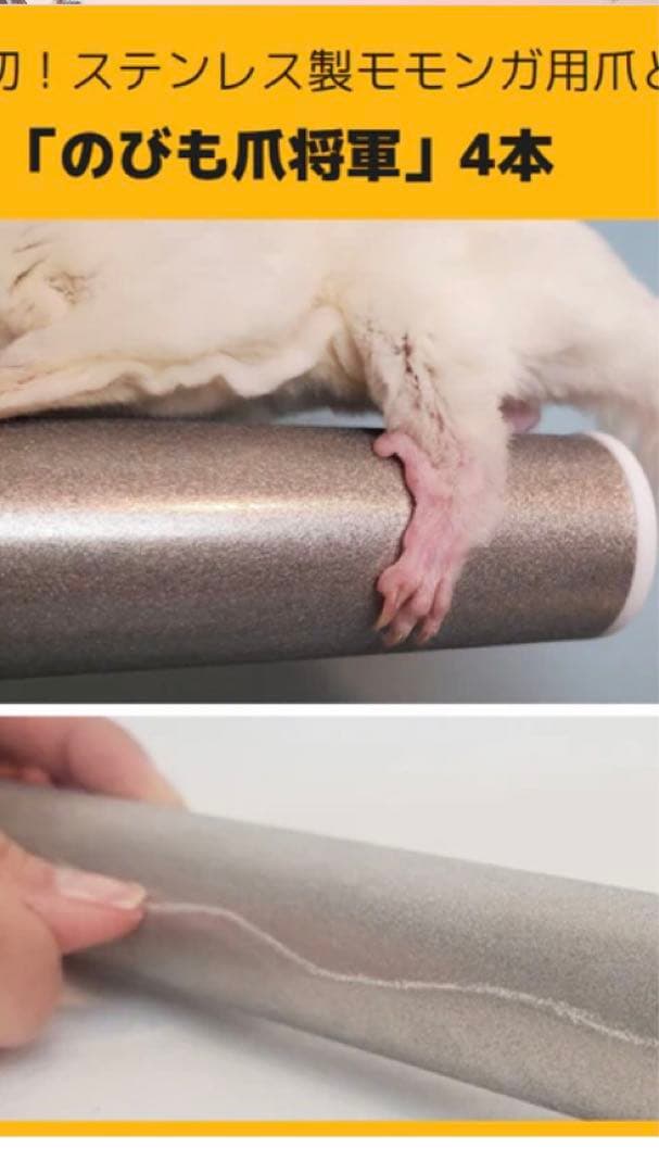 フクロモモンガ飼育用　一式セット（のびも15