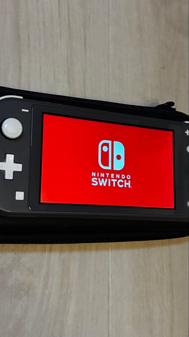 Nintendo Switch Lite グレー 充電器・ケース付