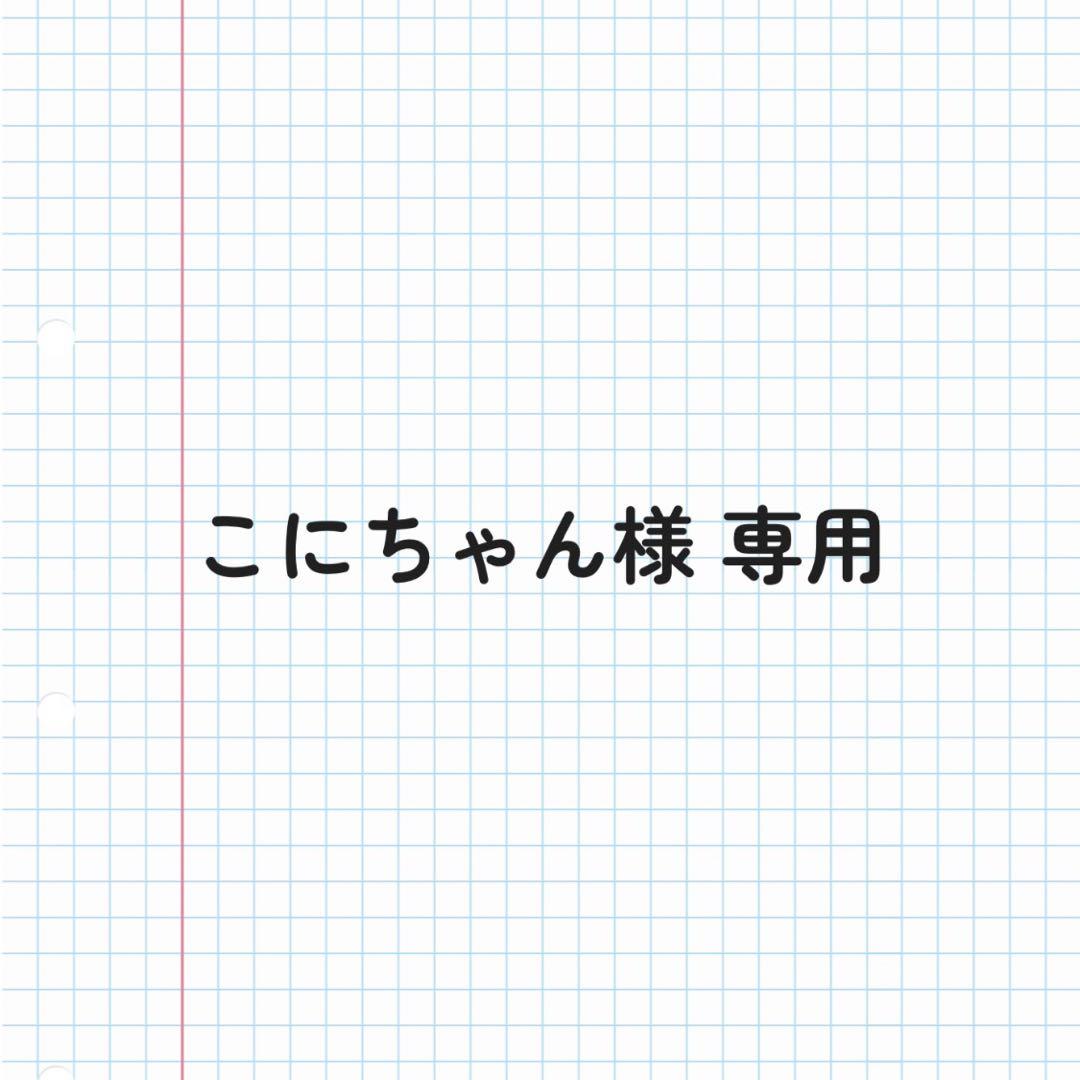 韓国限定 新品未使用 ニューバランス ウィンターブリーズ 25 正規品