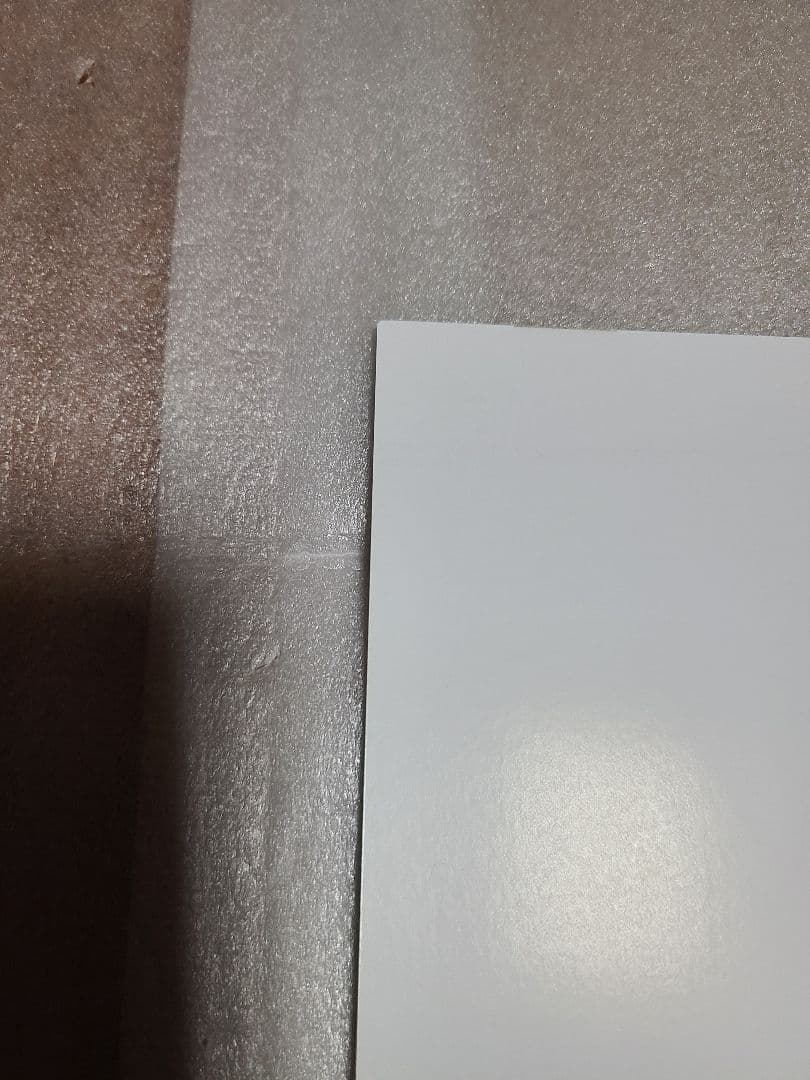 スーパーダンガンロンパ2　南国ぜつぼうカーニバル! 2巻 WonderGOO特典