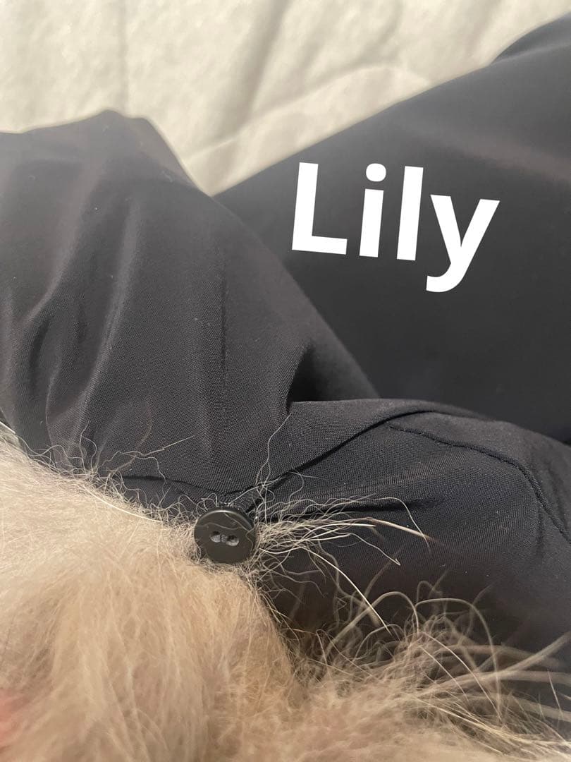 armure フォックスファー　ライダース　ジャケット　リアルファー