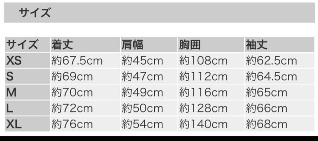 J*J様 良品　パタゴニア Ms Lined Isthmus Hoody Ｍサイ