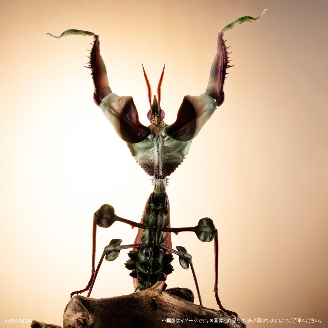 シ*ン様 いきもの大図鑑アドバンス　ニセハナマオウカマキリコンプリート