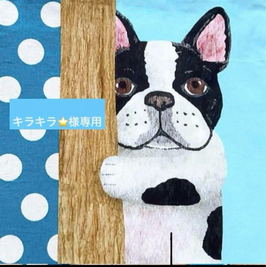 キラキラ⭐️　ランチバッグ