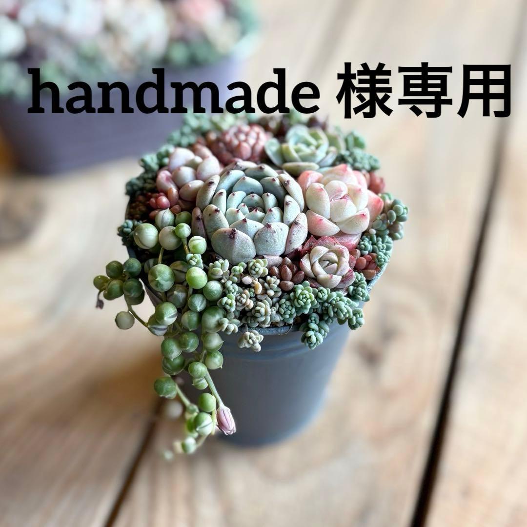 多肉植物♡そのまま飾れる♡専用