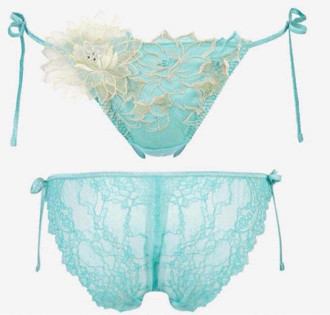 【新品未開封】Salute 52シリーズ ガウン、スリップ、ショーツセット