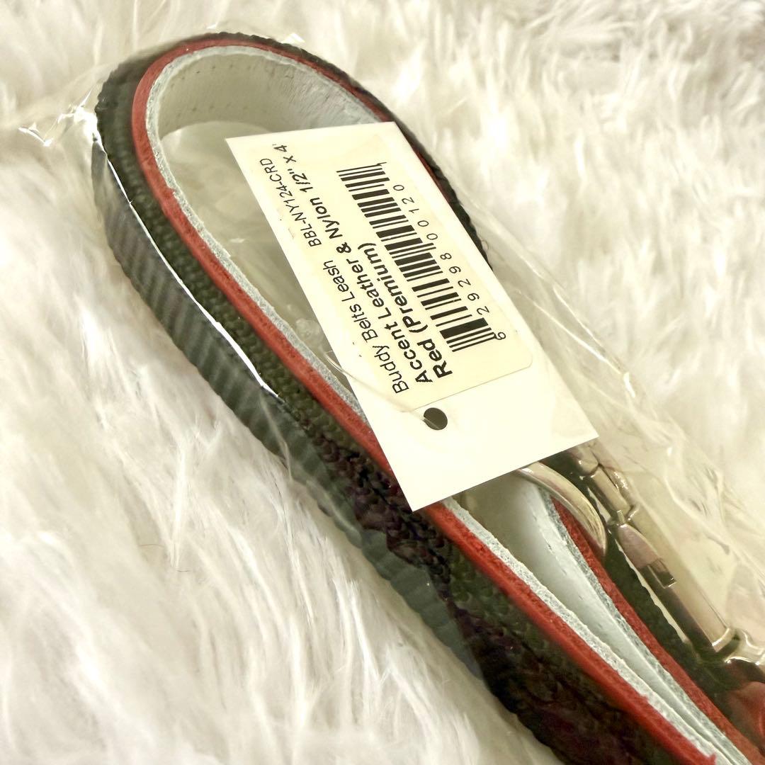 [新品] BBベルト 2.5号 ハーネス+リード セット　 *レッド