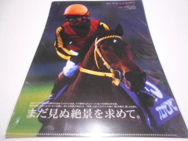 JRA ヒーロー列伝 馬 クリアファイル 14点セット