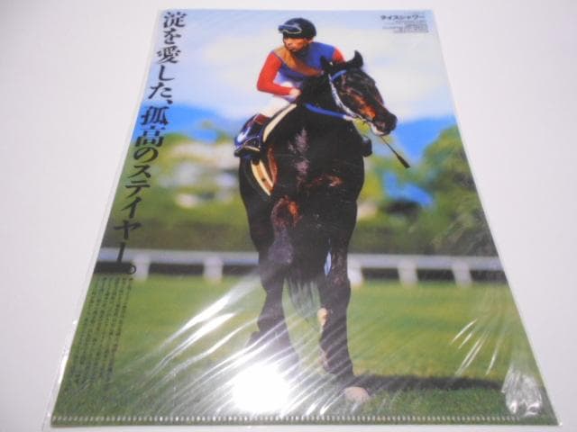 JRA ヒーロー列伝 馬 クリアファイル 14点セット