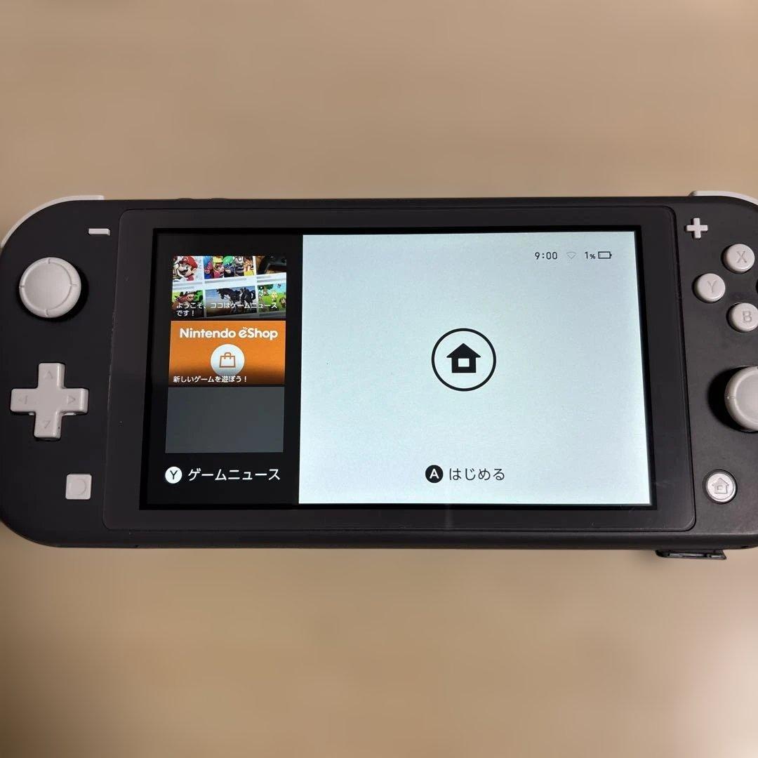 Nintendo Switch Lite グレー 動作OK 元箱付