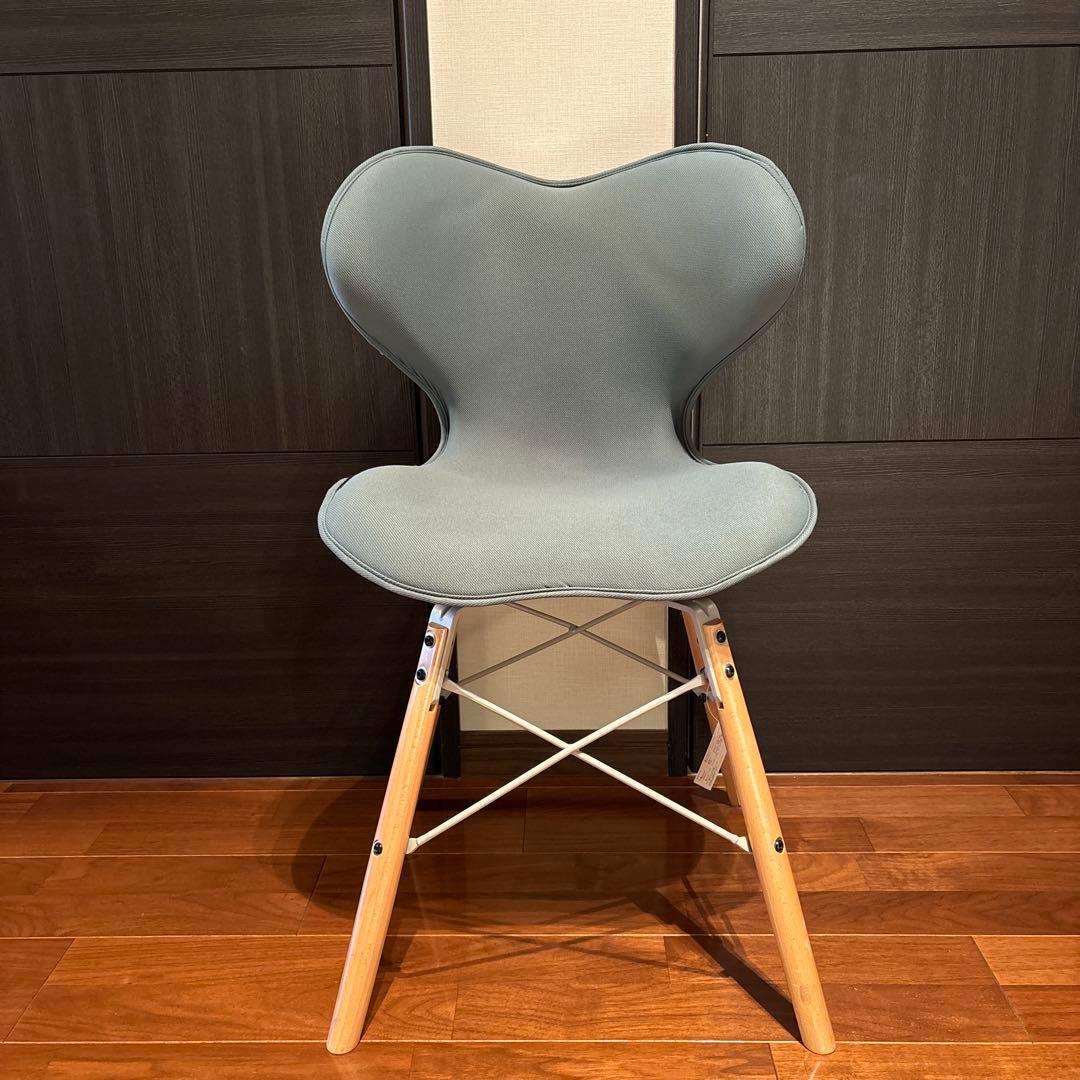 Style Chair SM スタイルチェア ダイニングチェア 学習椅子 矯正