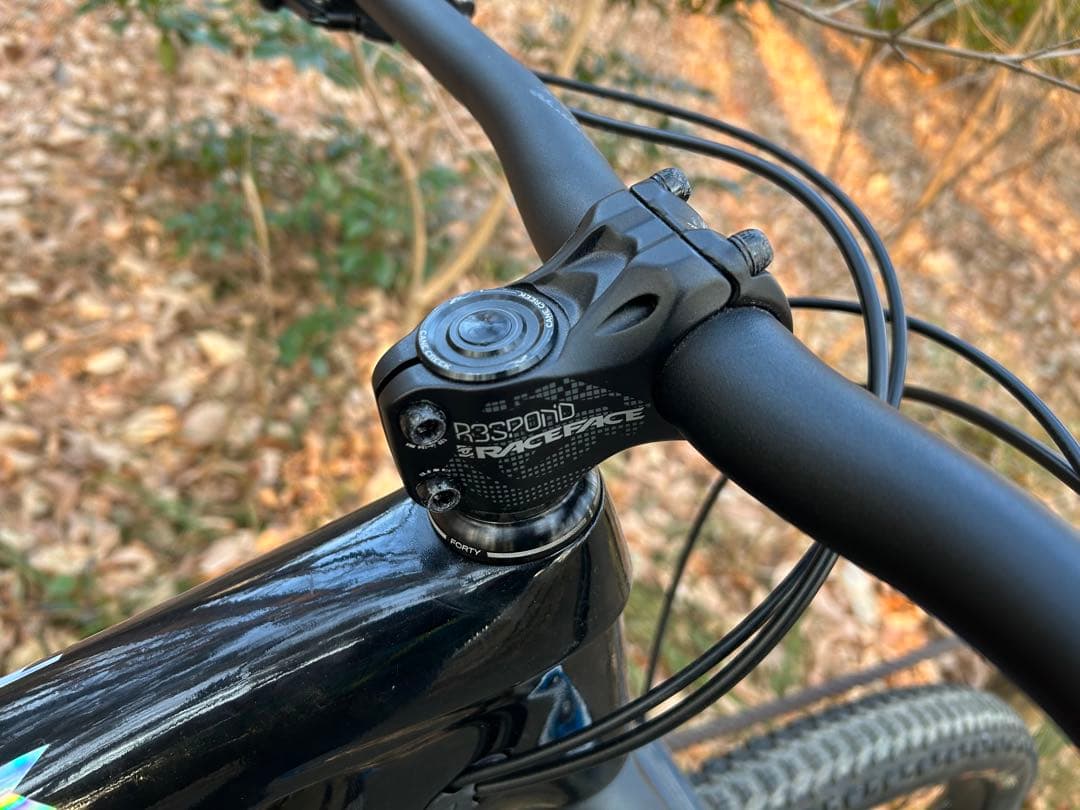 TREK FUEL EX カーボン 29er Lサイズ