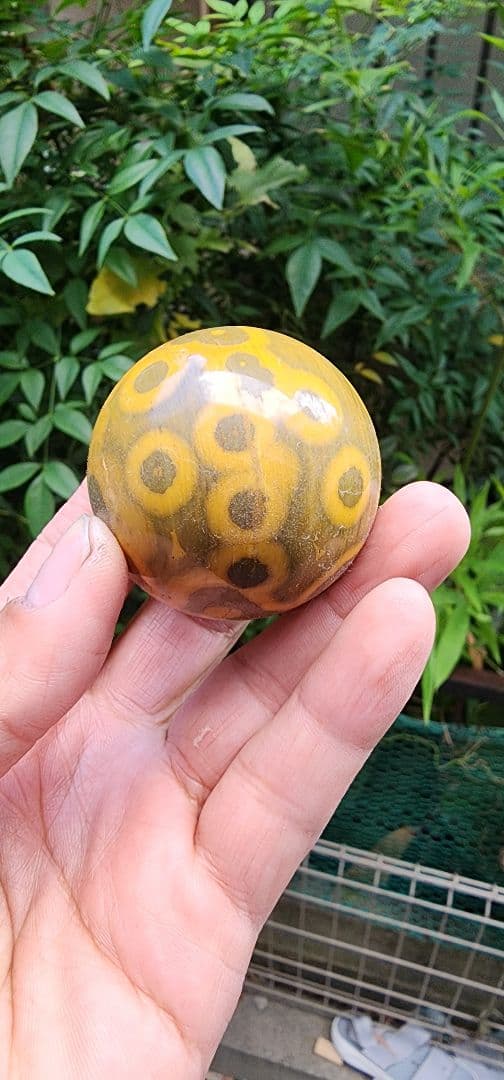 オーシャンジャスパー