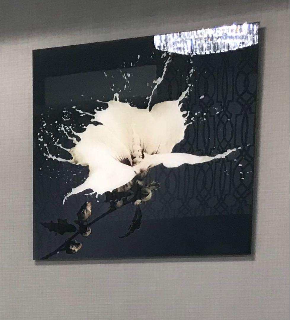 Francfranc アクリルアート
