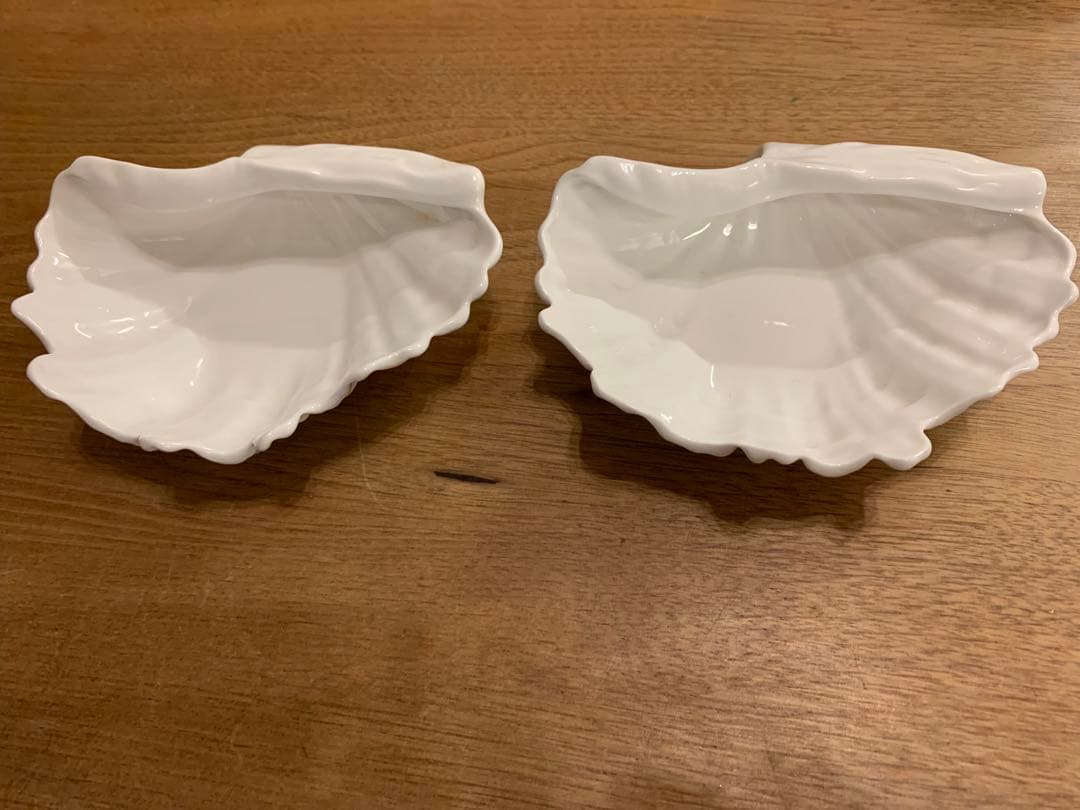  Nautilus collection 貝殻 小物入れ