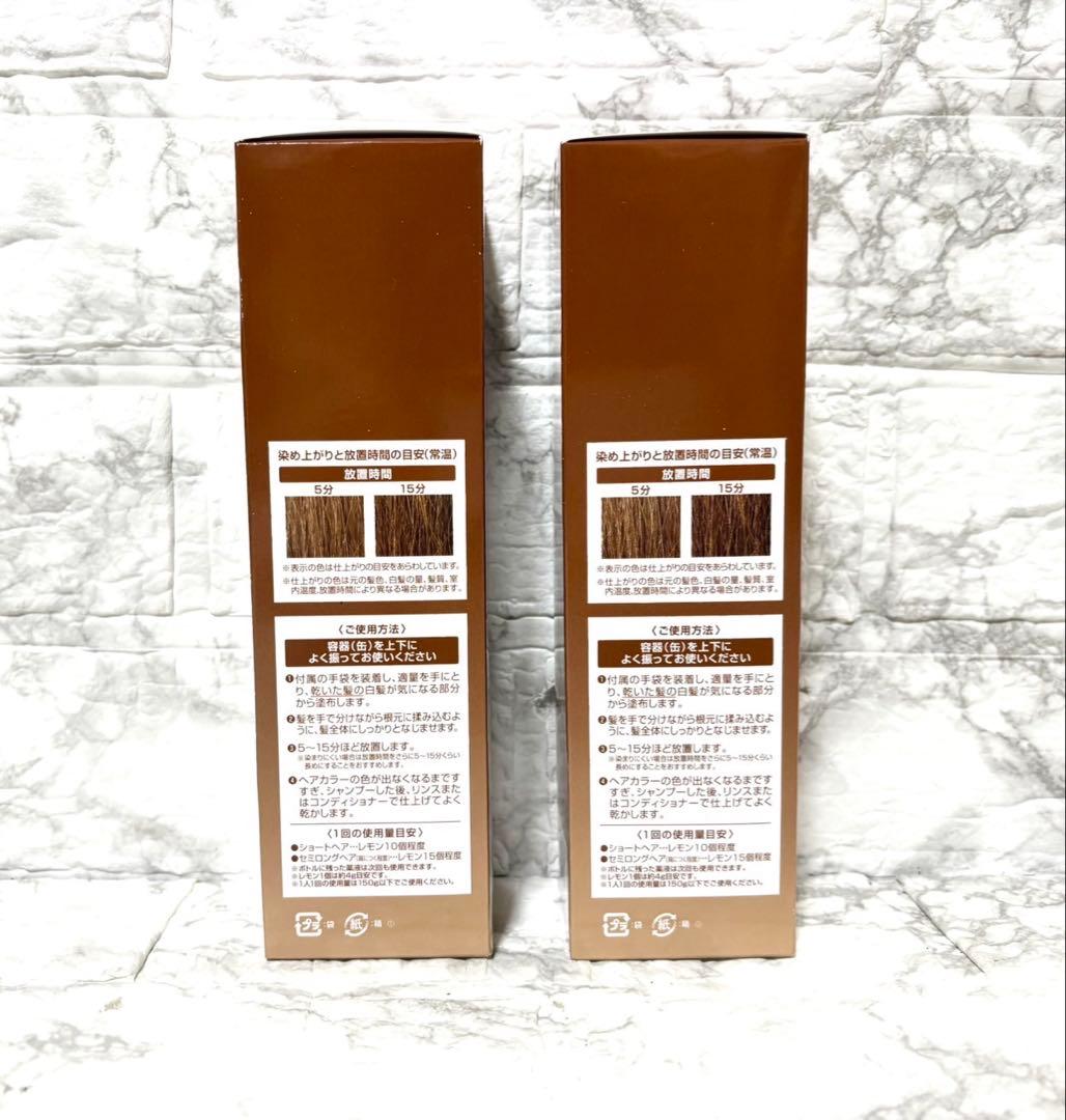 【未開封 2個】ヘアボーテ エクラ エアカラーフォーム ライトブラウン 150g