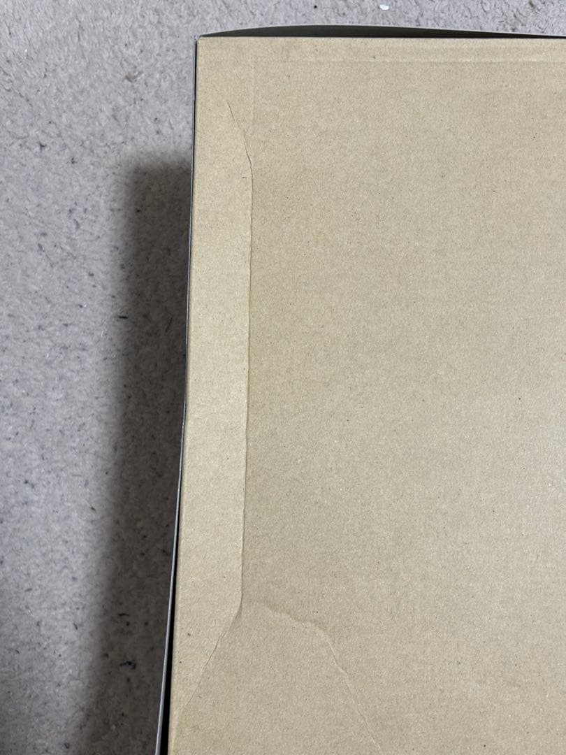 【新品、未組立】MG 1/100 FAZZ Ver.Ka