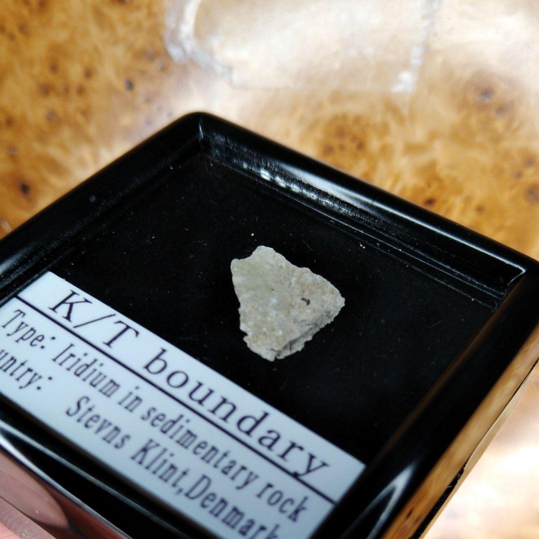 入手不可！小惑星のかけら Ｋ-Ｔ境界層（K/Pg境界）　標本