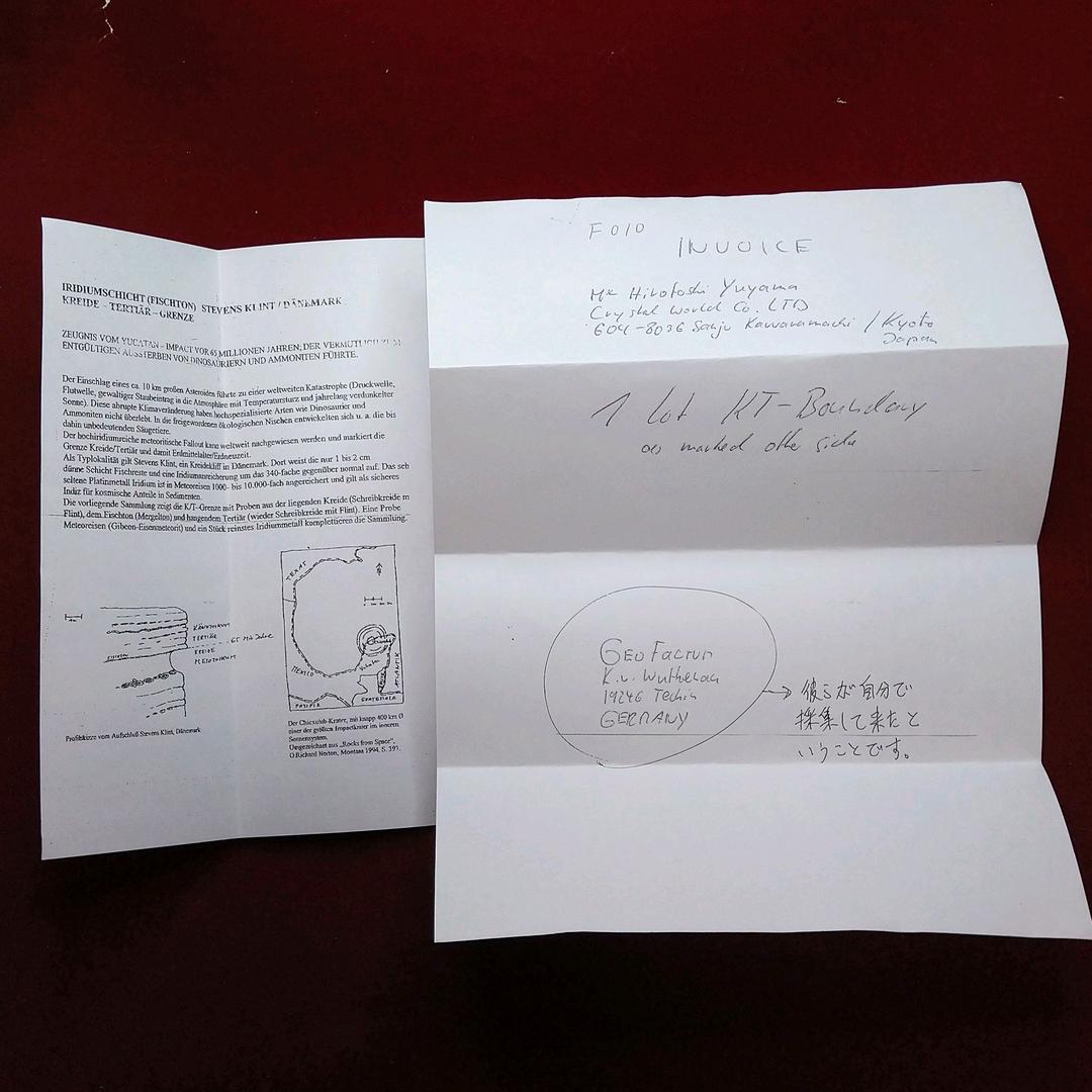 入手不可！小惑星のかけら Ｋ-Ｔ境界層（K/Pg境界）　標本