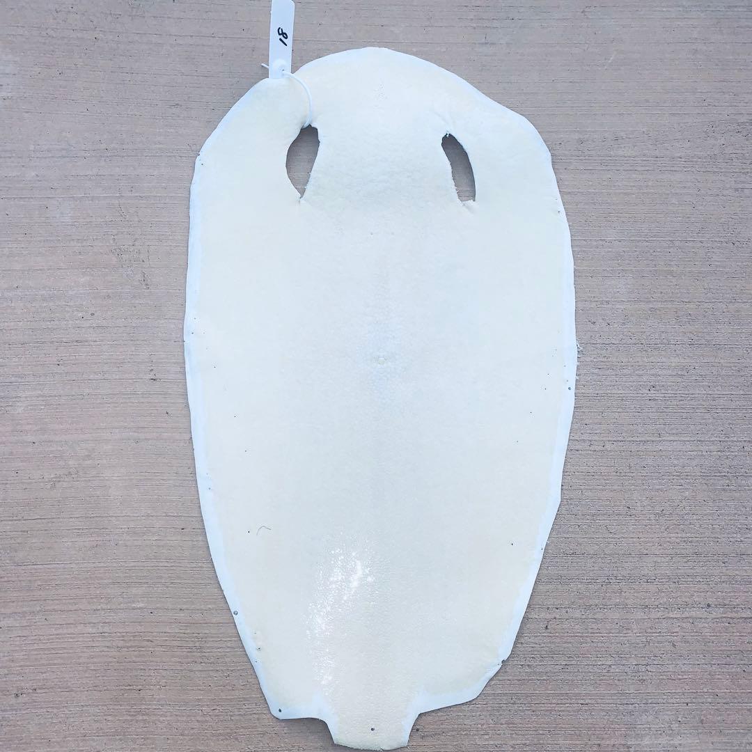 18)エイ革 鮫革 鮫皮 stingray ガルーシャ スティングレイ