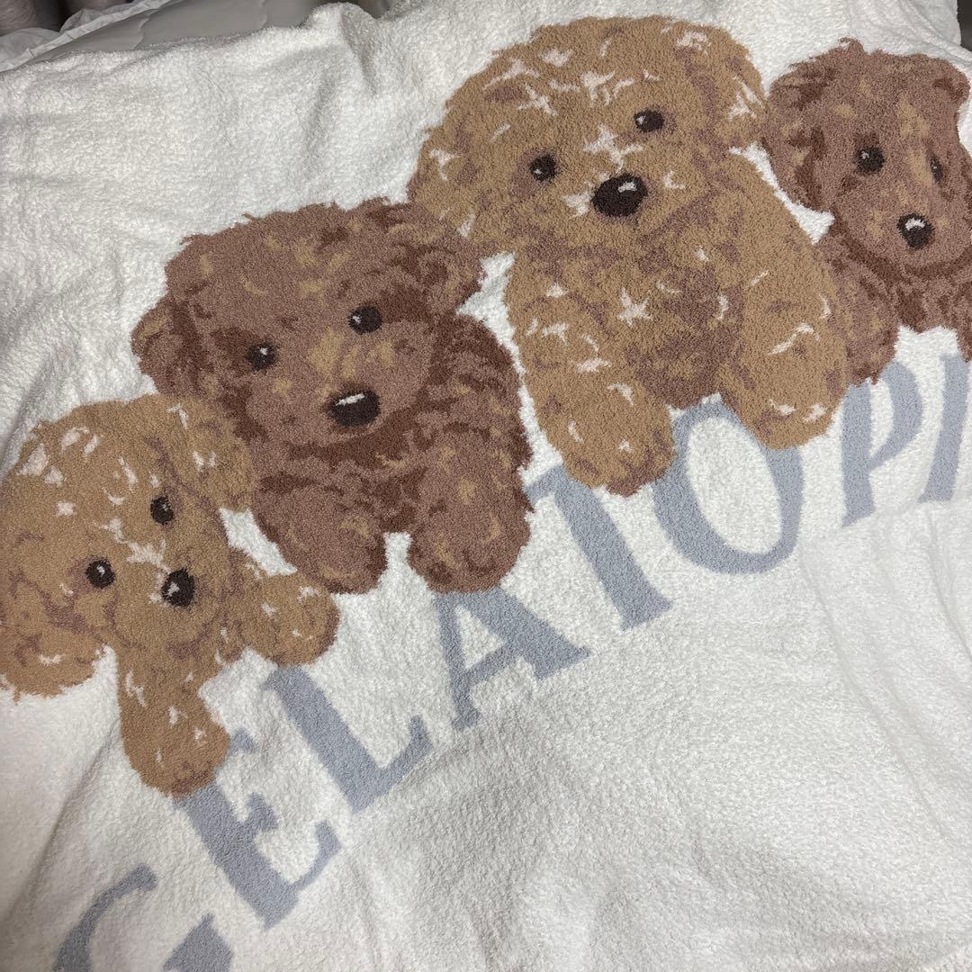 gelato pique ブランケット トイプードル ジェラートピケ ジェラピケ