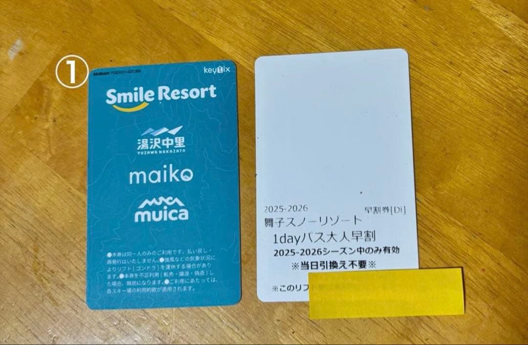 舞子スノーリゾート大人リフト券2枚、 割引券各1枚
