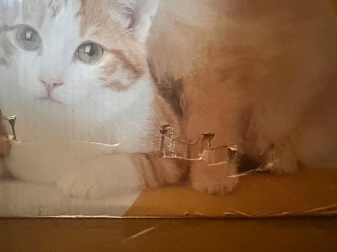 ペットドライルーム Zombazi 63L 猫犬用 ドライヤー 美品