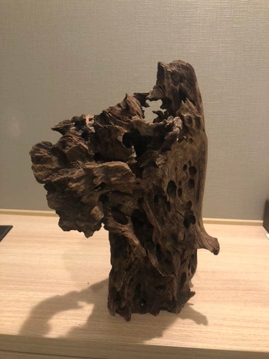 レア流木　美形状　アクアリウム　ADA