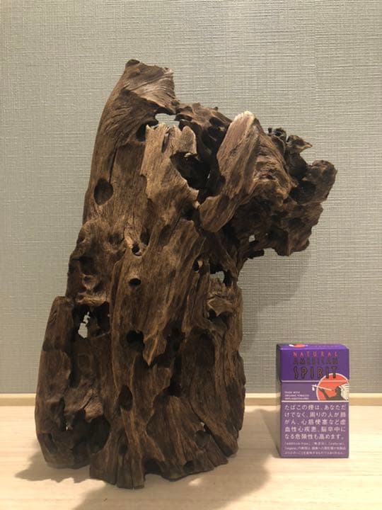 レア流木　美形状　アクアリウム　ADA