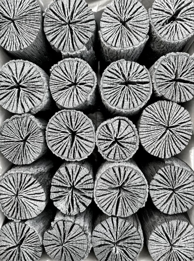 K【愛媛産】クヌギ炉用胴炭約5kg 皮剥がれ