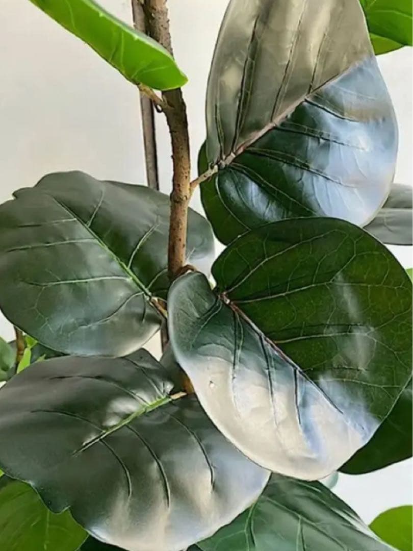 光触媒　人工観葉植物　ウォールグリーン　フェイクグリーン　インディアンアーモンド