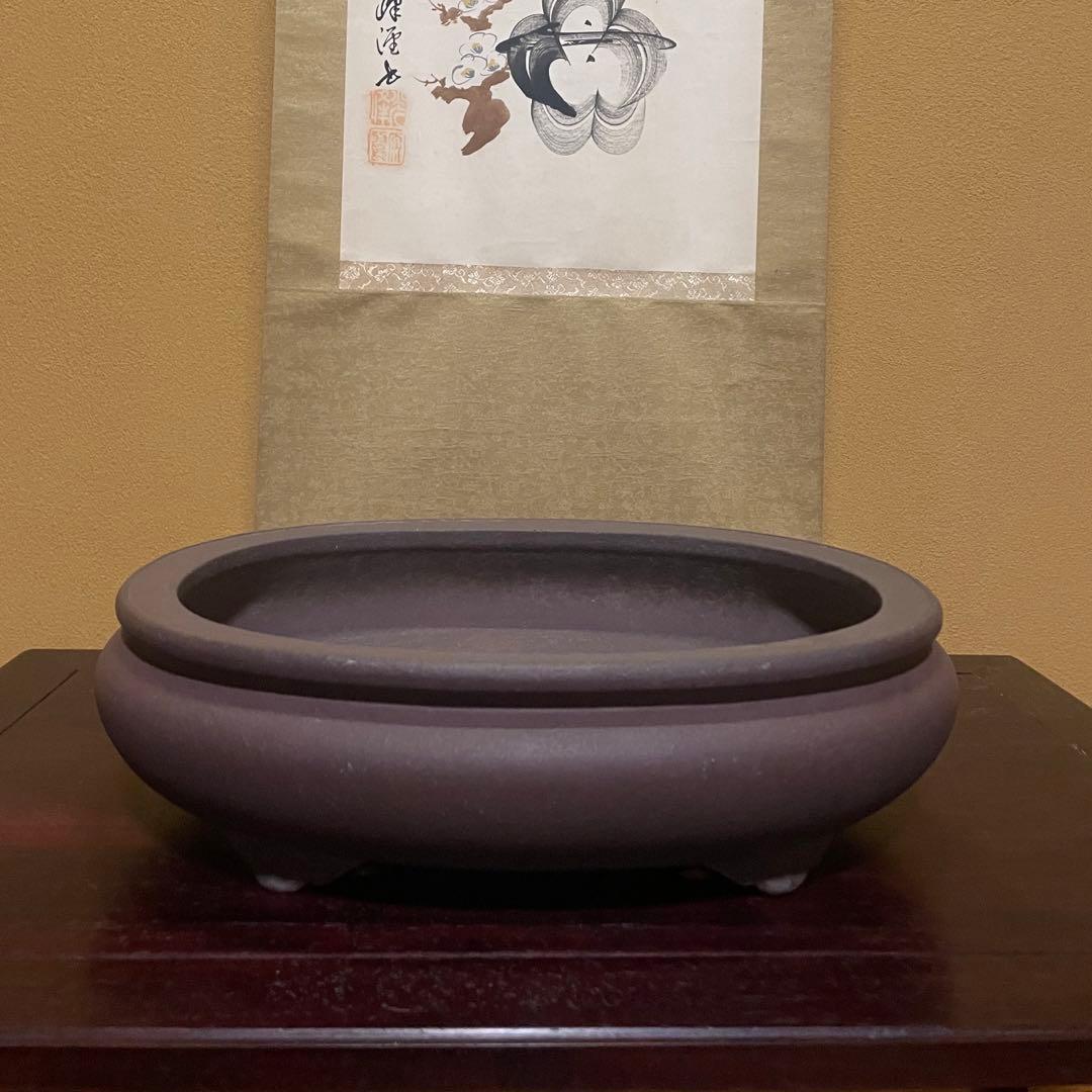 【落款あり】松泉焼 山秋造 楕円袋式雲足 紫泥 盆栽鉢 真柏 時代鉢