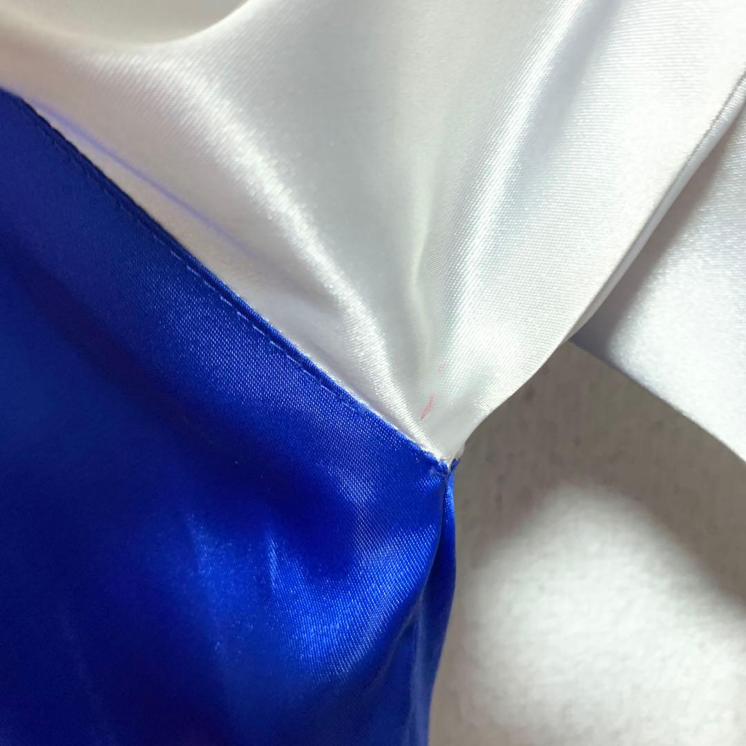 ピーピーエフエム Rey Mysterio ワールドレスリングエンターテイメント