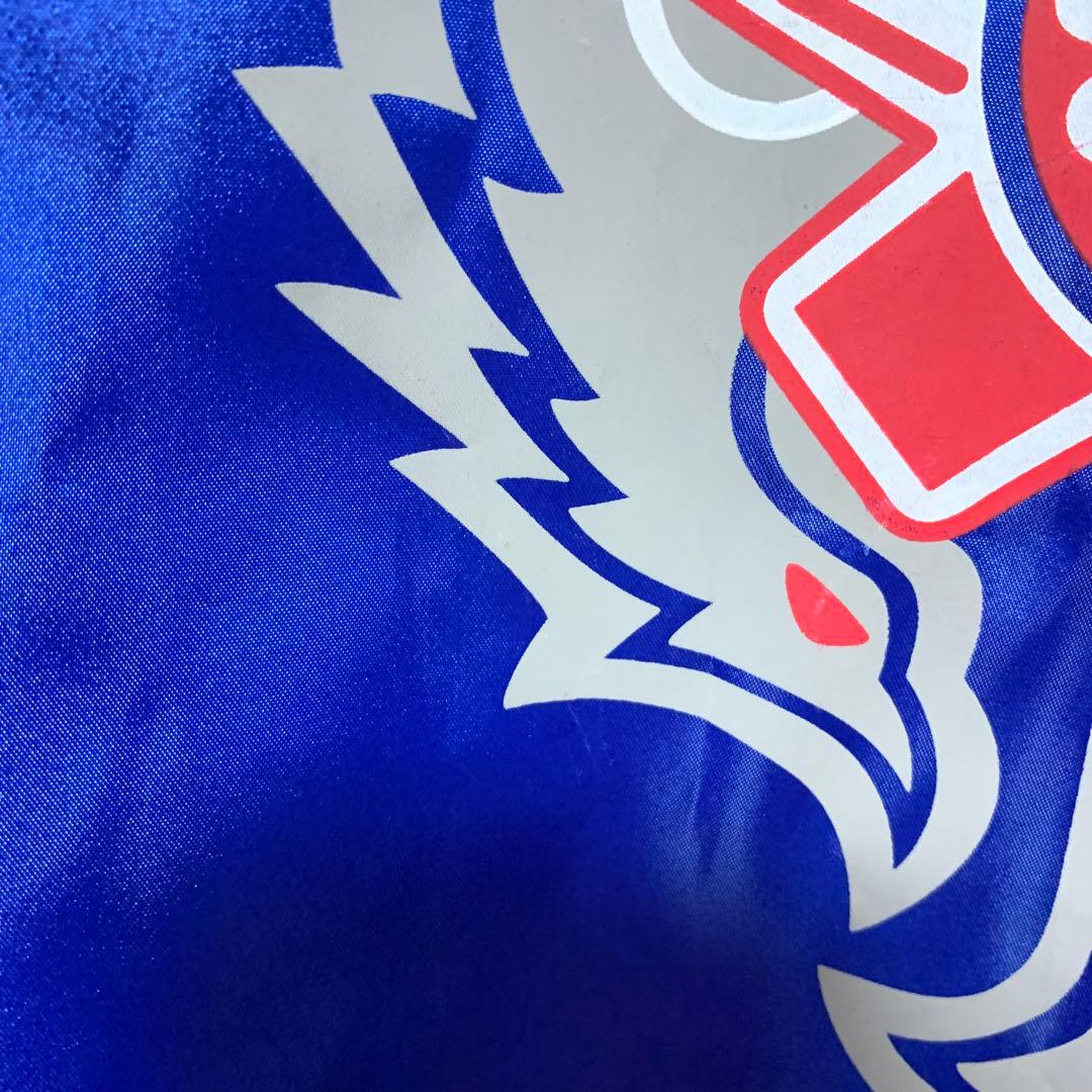 ピーピーエフエム Rey Mysterio ワールドレスリングエンターテイメント