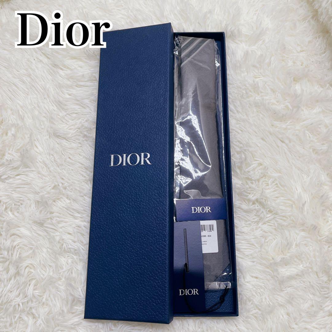 【未使用】DIOR ディオール ネクタイ 紺 トロッター　シルク ナロータイ