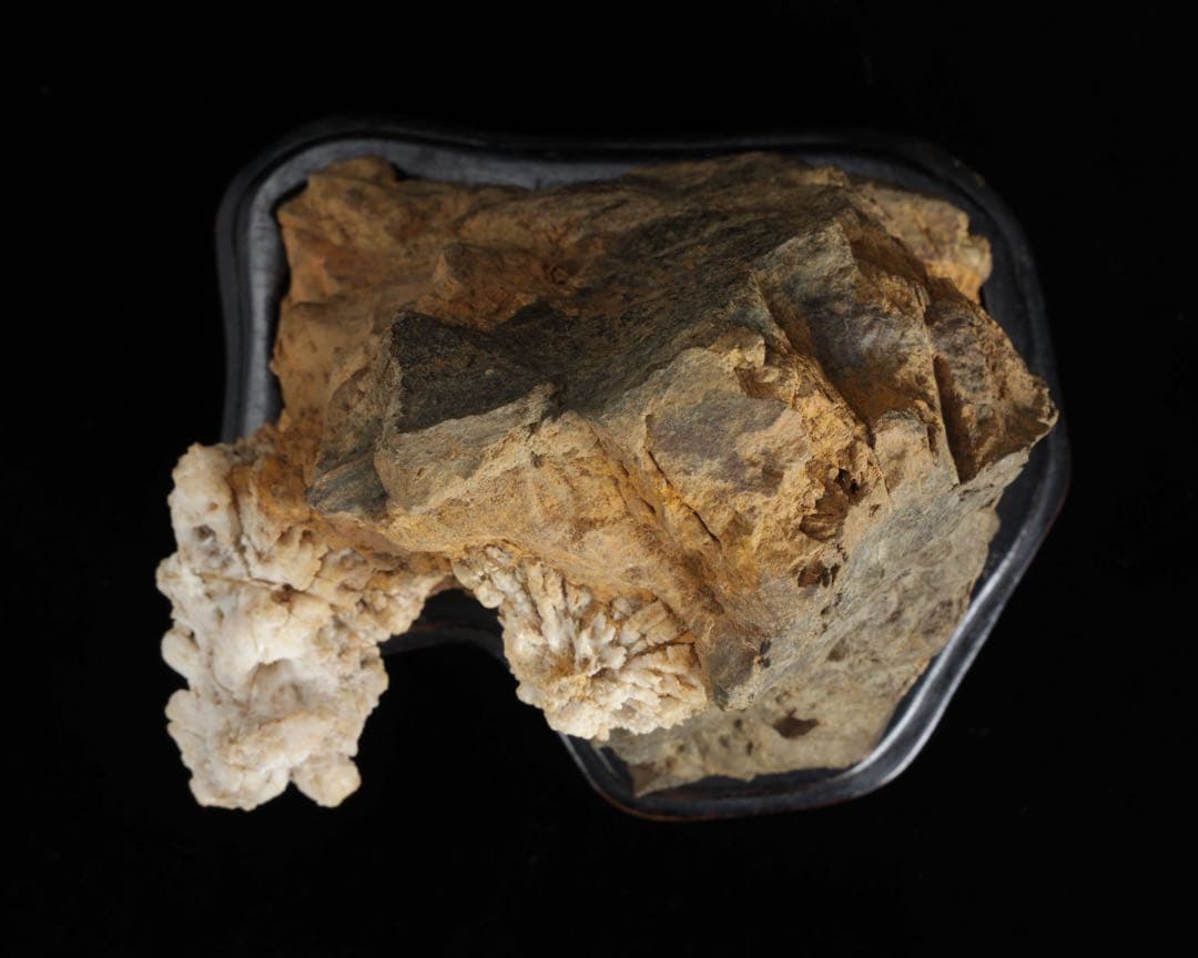 は*よ様 根尾川 菊花石 白菊 紋石 台座 共箱付 1.2kg 鑑賞石 原石 盆