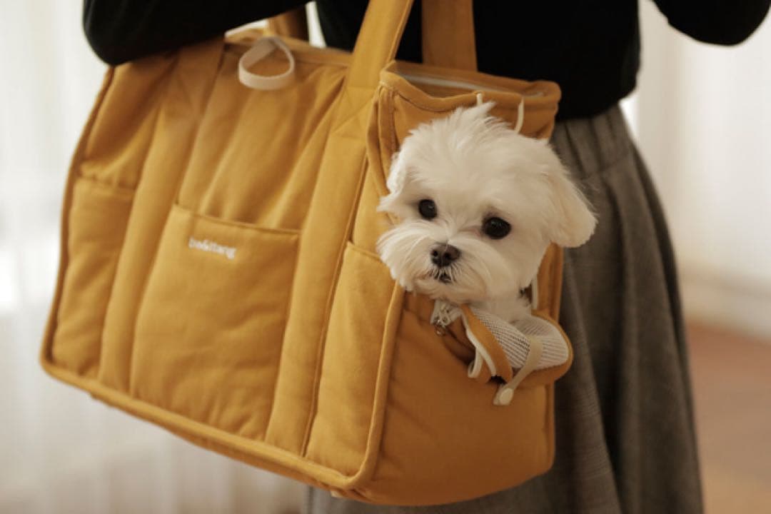 韓国ブランド　ba&ttang キャリーバッグ　クッション付き　小型犬 お出かけ