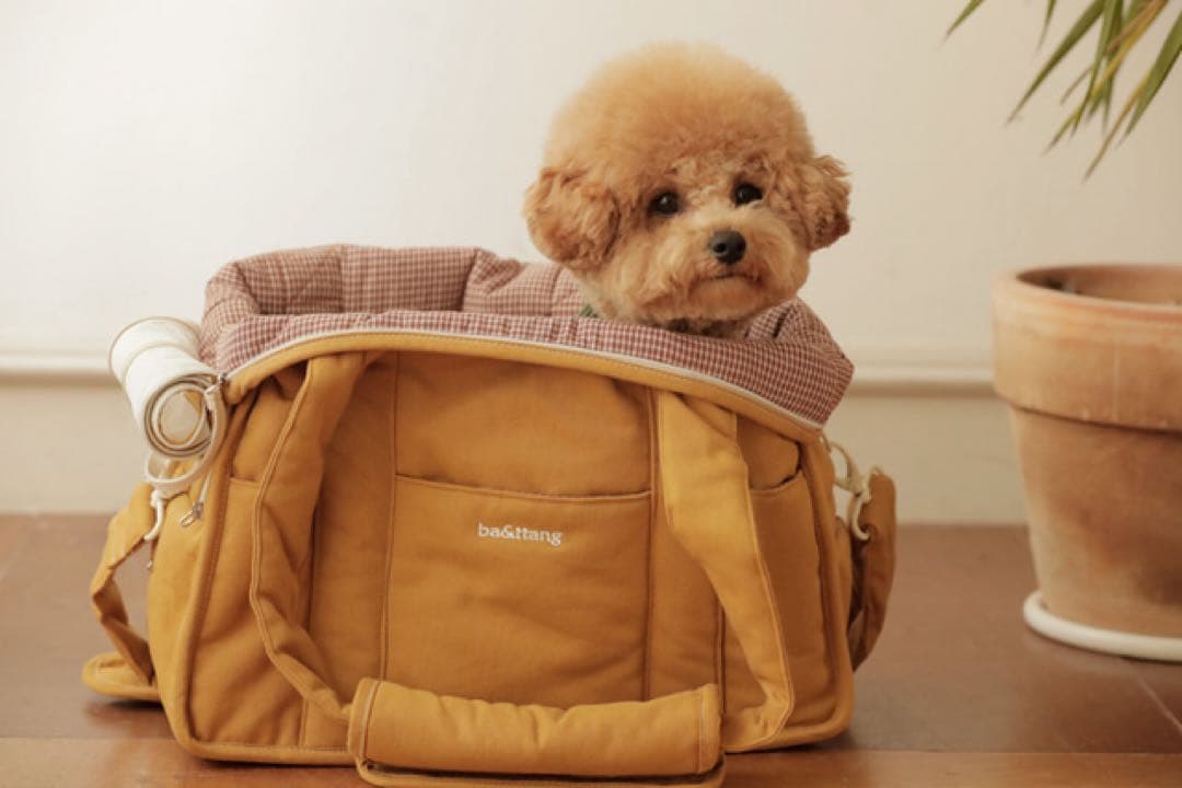 韓国ブランド　ba&ttang キャリーバッグ　クッション付き　小型犬 お出かけ