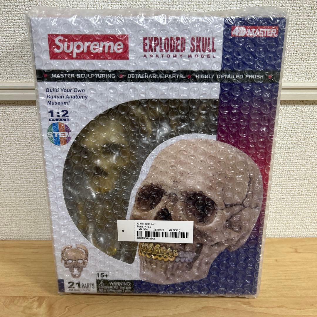 SUPREME (シュプリーム) / 4D MODEL HUMAN SKULL