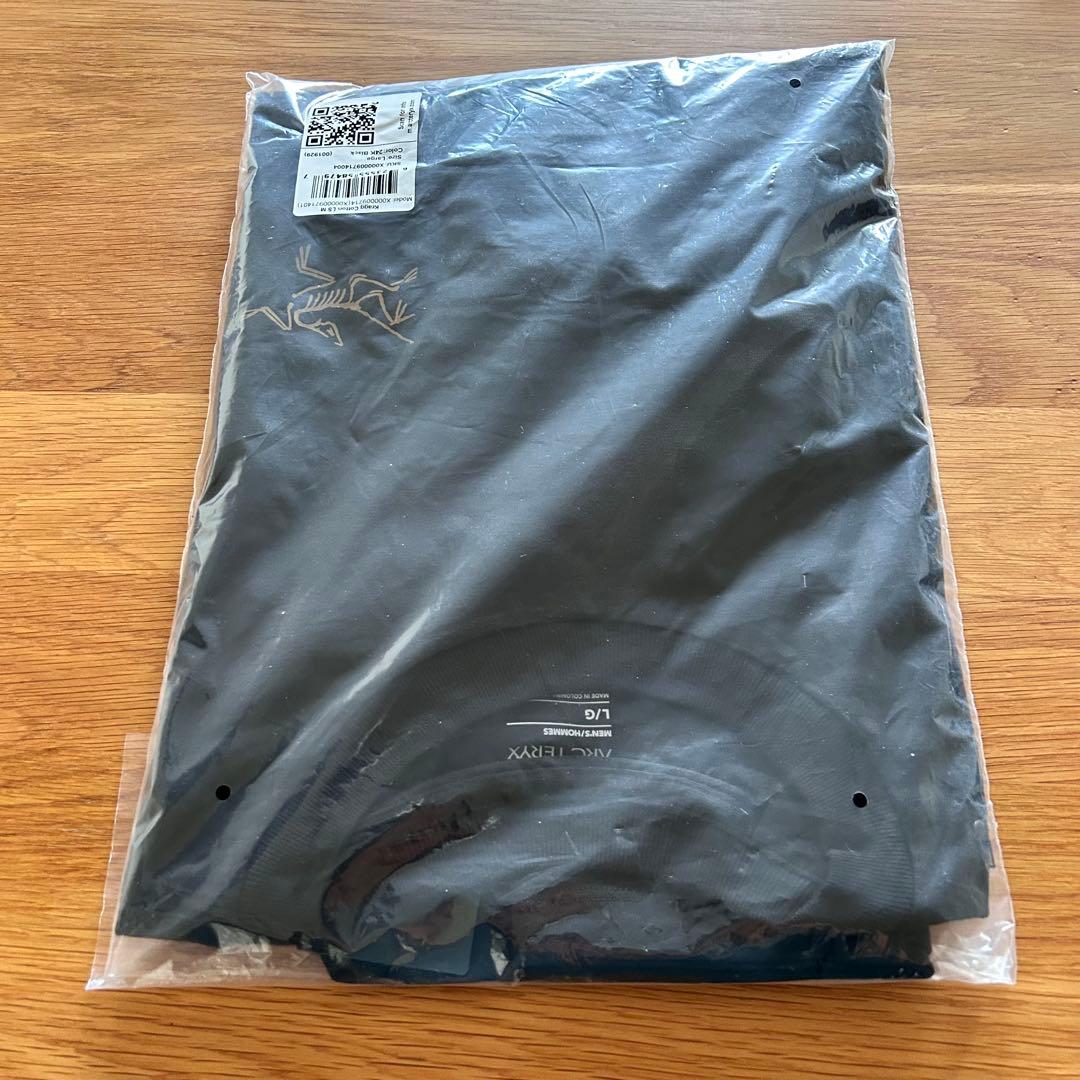 8*4様 完売入手困難新品未使用！アークテリクス　クラッグコットンLS 24KB