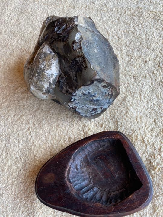 鑑賞石　アンモナイト　化石